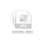 ống đồng cuộn